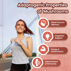 Label highlighting 10-mushroom complex for cognitive support