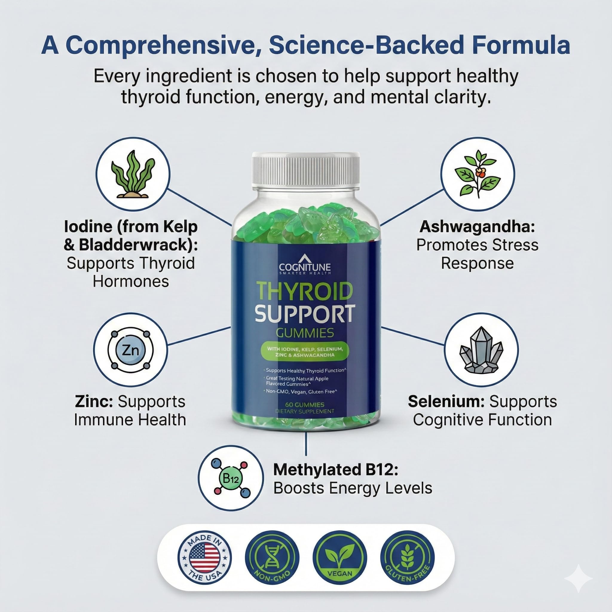 CogniTune kelp and bladderwrack ingredients displaying natural iodine source