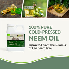 Cold-pressed neem oil extraction process