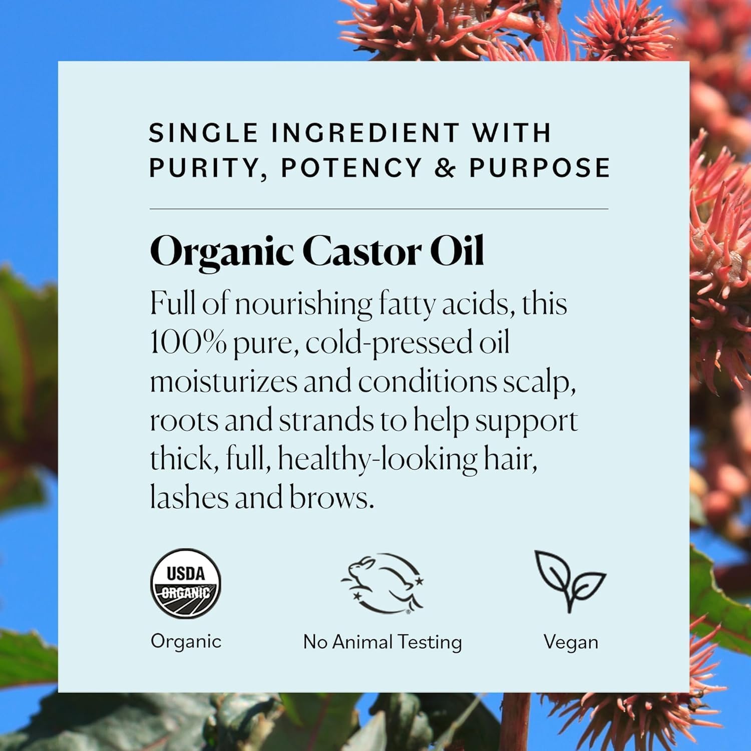 Cold-pressed hexane-free castor oil for natural conditioning