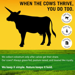Cold-processed colostrum preserving bioactive nutrients
