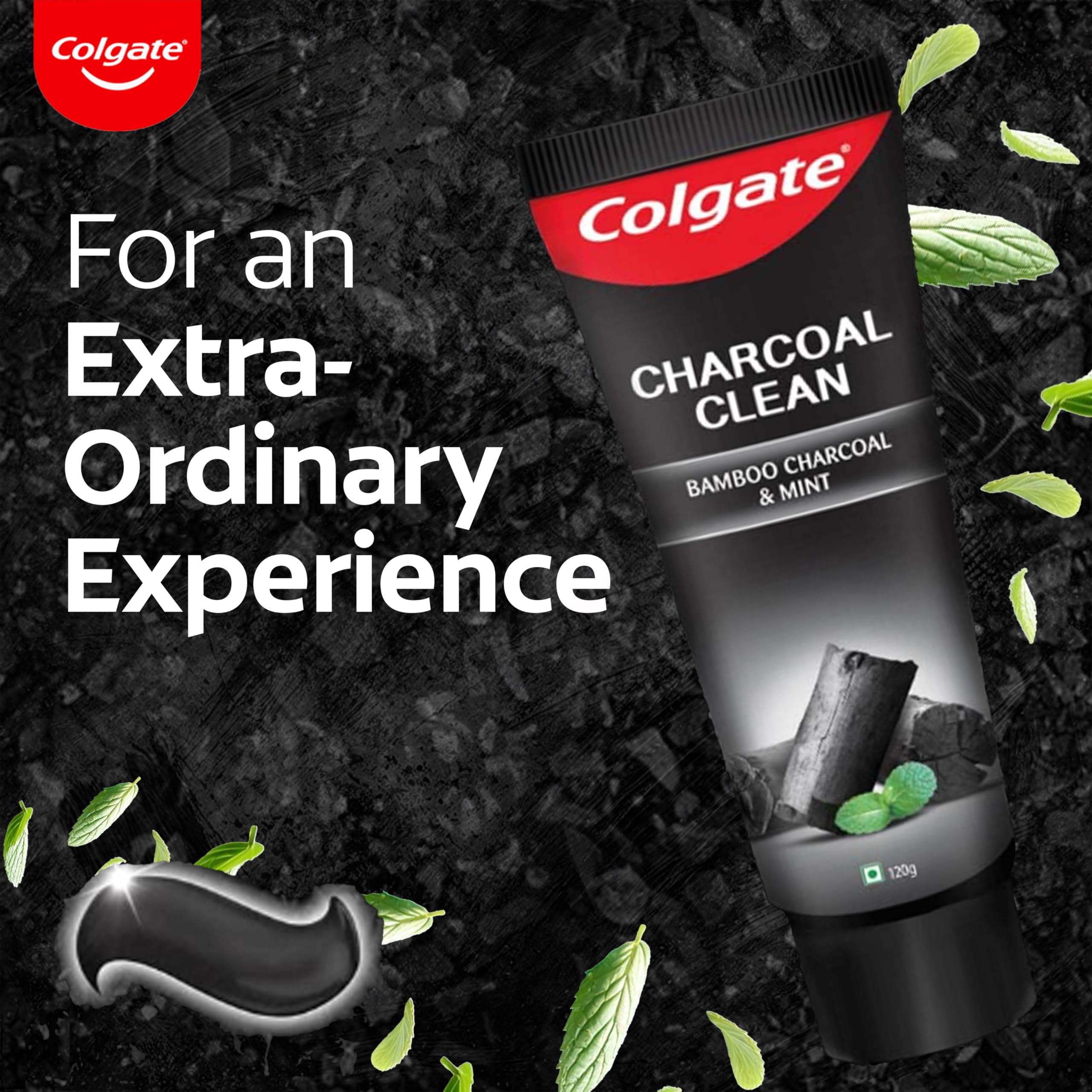 Close-up of bamboo charcoal graphic on packaging