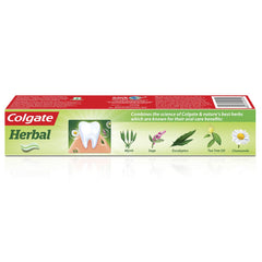 Colgate Herbal Toothpaste 7 oz product box and branding