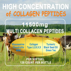 Antioxidants, Omega-3 and Boswellia in formula