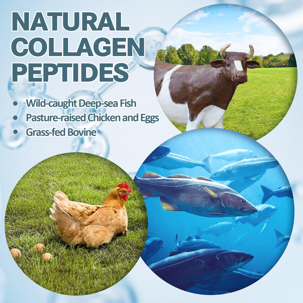 Supplement facts panel