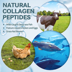 Supplement facts panel