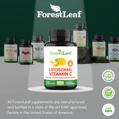Vitamin C supporting collagen production