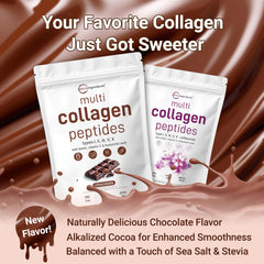 Collagen sources: bovine, chicken, marine and eggshell membrane