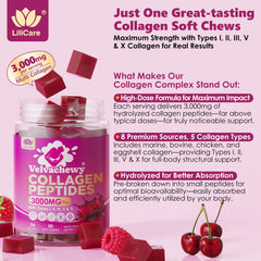 Eight collagen sources: marine, bovine, chicken, eggshell