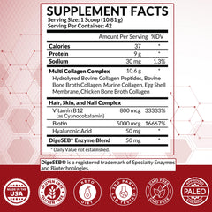 Graphic showing the five collagen types included