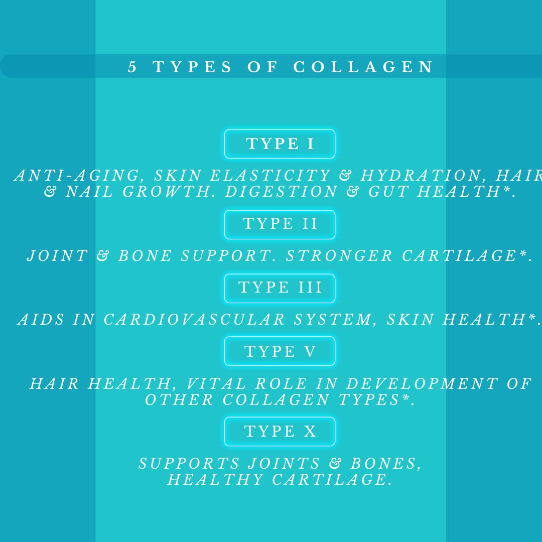 Illustration showing collagen types I-V-X