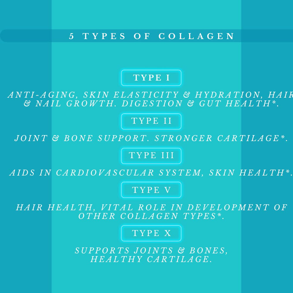 Illustration showing collagen types I-V-X