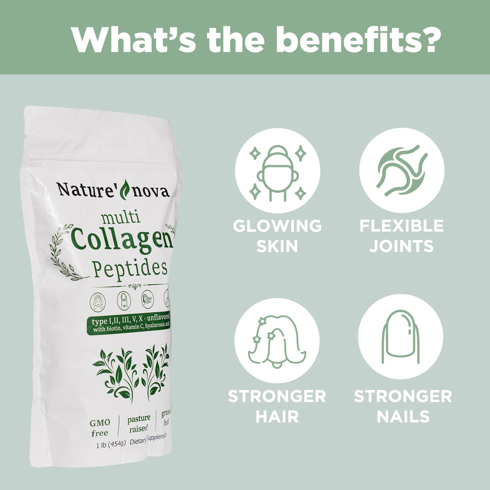 Illustration of collagen types I, II, III, V, and X sources