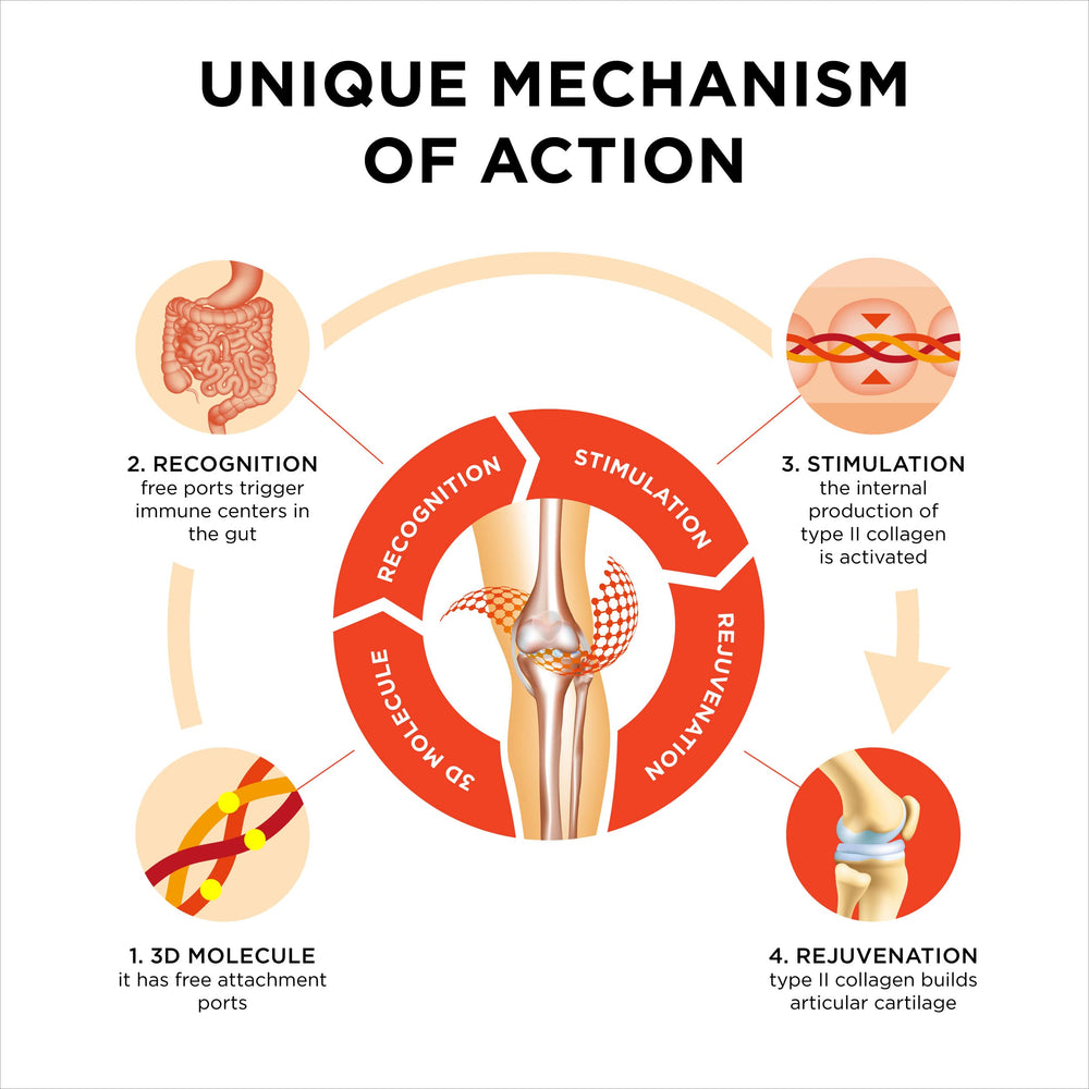 Micelle curcumin absorption illustration for Collanol