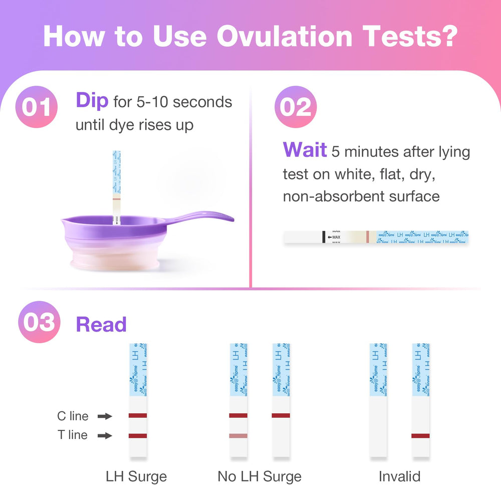 Two collapsible urine cups for testing