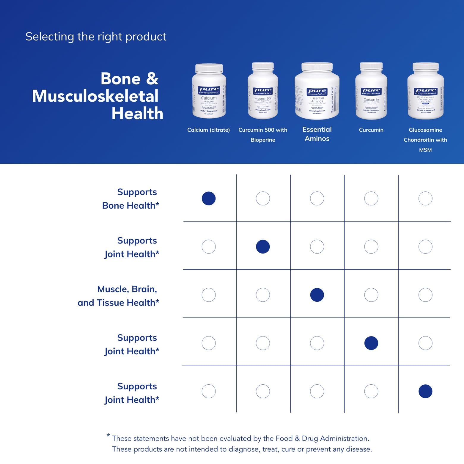 Graphic illustrating colon health support from calcium citrate