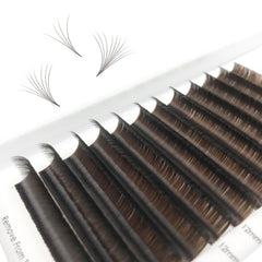 CoMango Color Lashes Easy Fan Tray for vibrant look options.