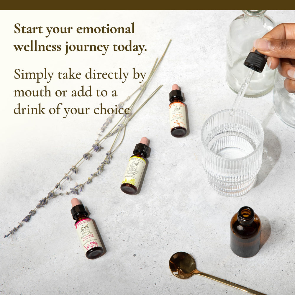 Complete Bach Remedies kit for balance and stress relief