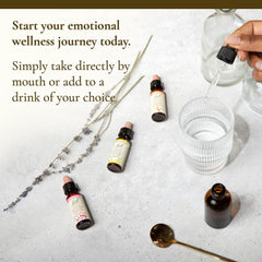Complete Bach Remedies kit for balance and stress relief
