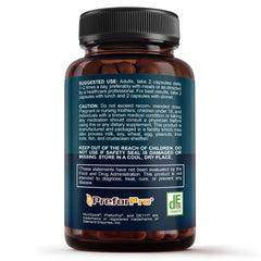 Complete gut health concept showing probiotics, prebiotics, postbiotics and enzymes