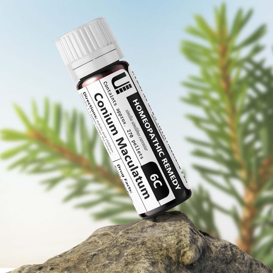 Pack shot of Conium Maculatum 6C remedy bottle.