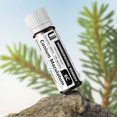 Pack shot of Conium Maculatum 6C remedy bottle.