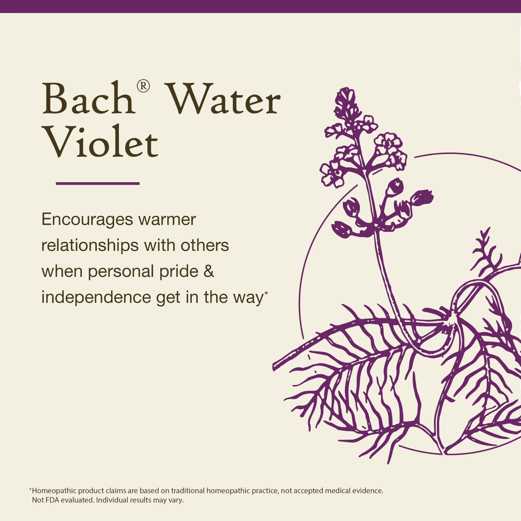 Illustration showing connecting with others through Water Violet