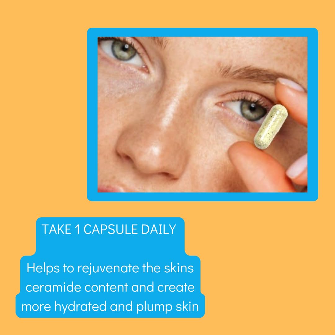 Ceramide dietary supplement capsules against a clean background