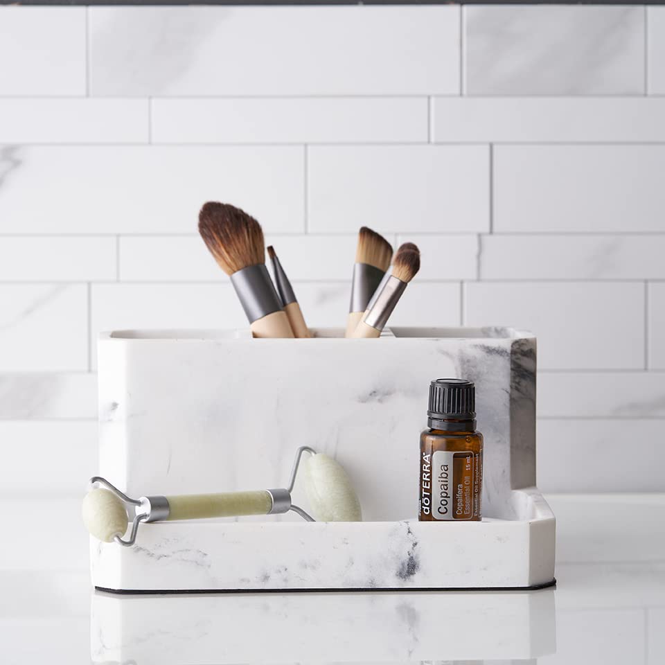 Copaiba tree in tropical South America