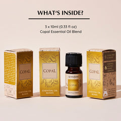 Copal Resin Diffuser Blend 30ml bottle – angled view