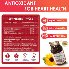 Close-up of CoQ10 softgels in bottle