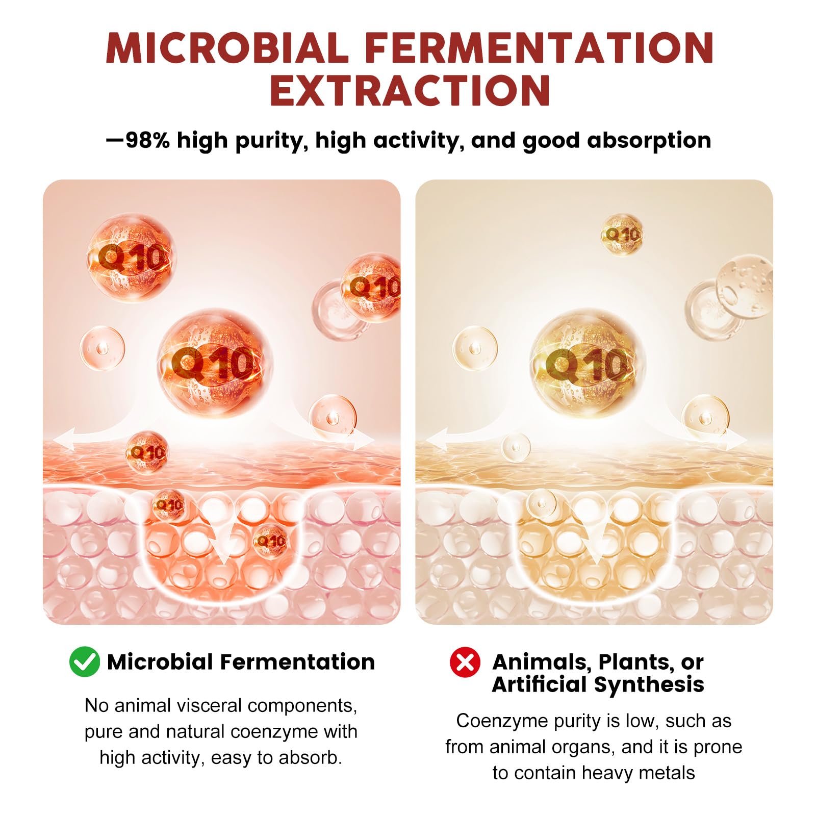 Illustration of CoQ10, bergamot, and grape seed extract ingredients