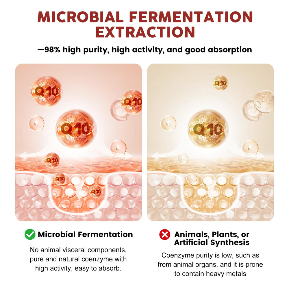Illustration of CoQ10, bergamot, and grape seed extract ingredients