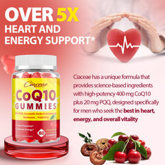 Ayurvedic herb blend included in CoQ10 Gummies (Ashwagandha, Holy Basil, Amalaki)