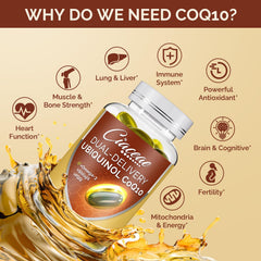 Close-up of pure, high-potency CoQ10 softgel capsule