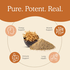 Vegan, Non-GMO, gluten-free certification icons