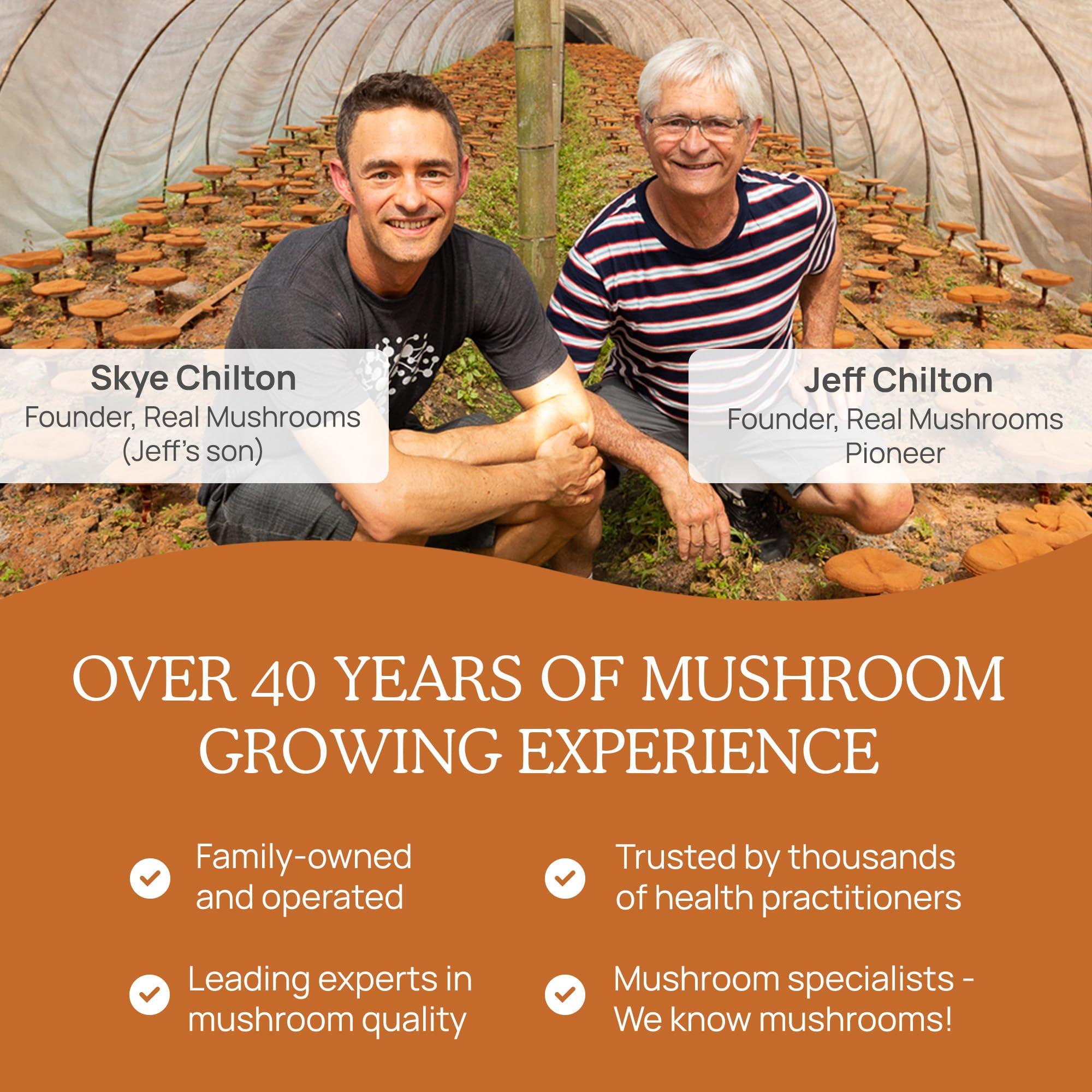 Real Mushrooms Cordyceps packaging and branding