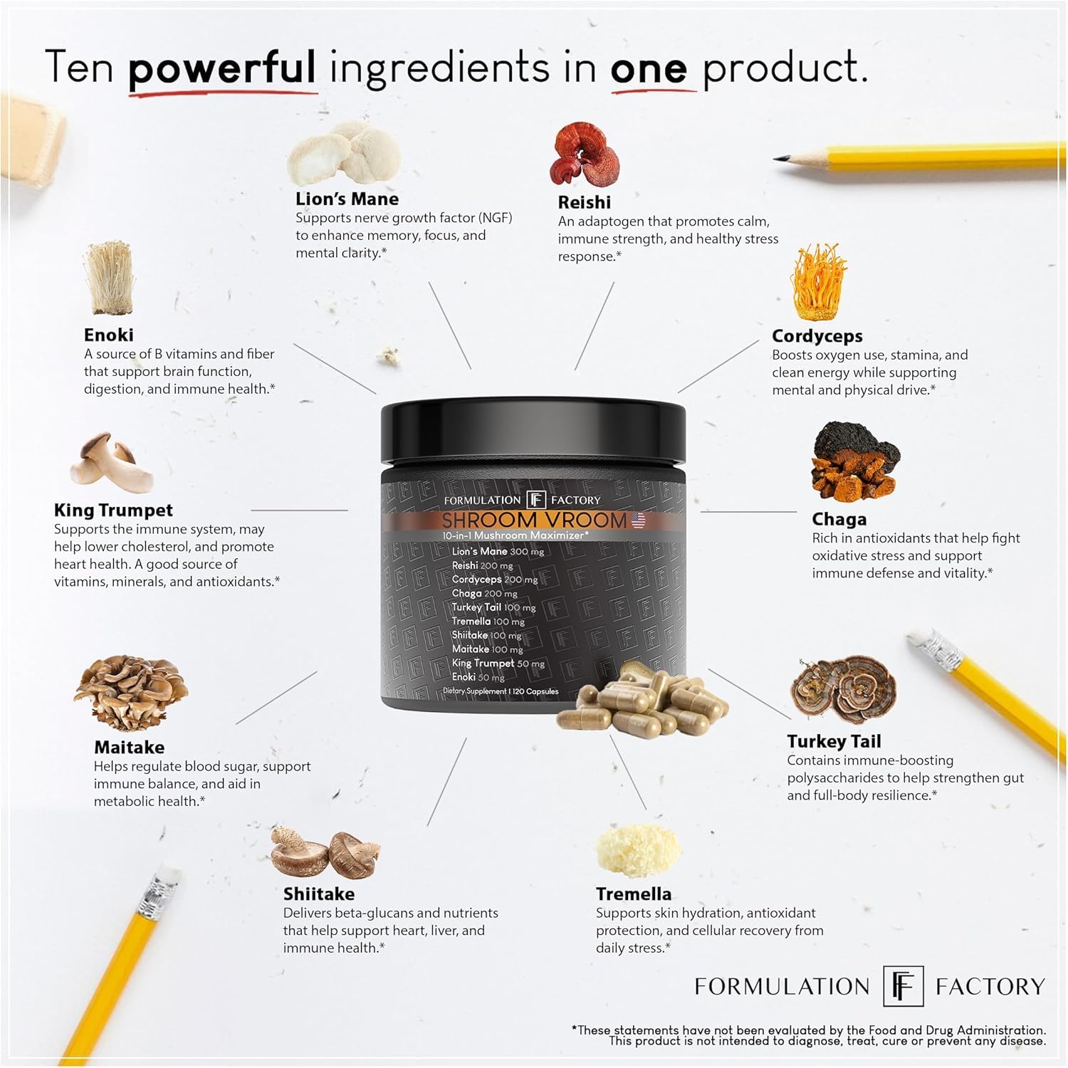 Illustration of Cordyceps and Chaga mushrooms