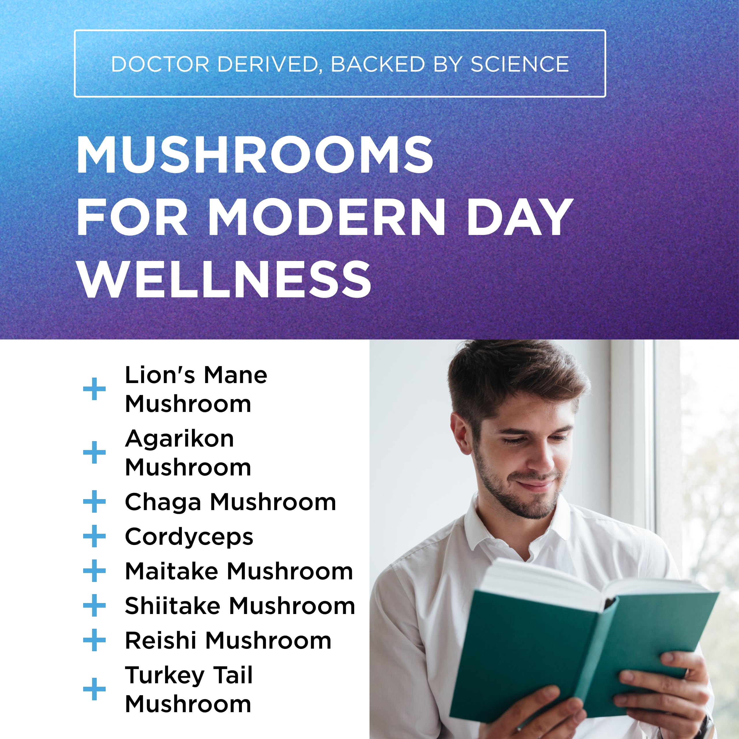 Cordyceps, Chaga and Reishi mushroom close-up