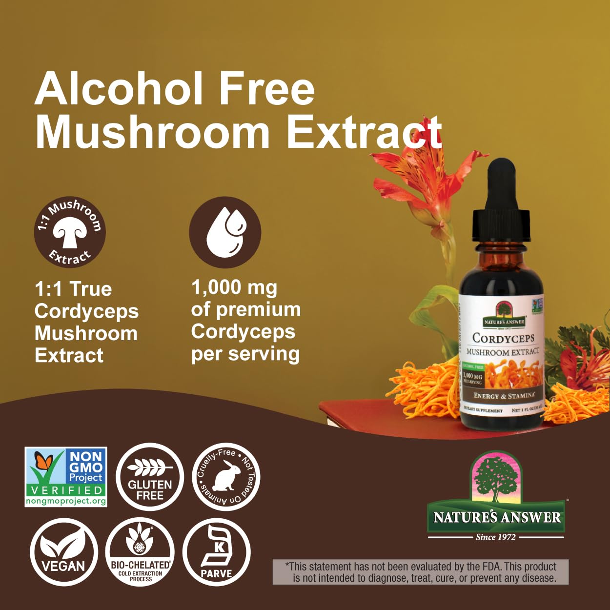 Energy and immune support benefits of Cordyceps