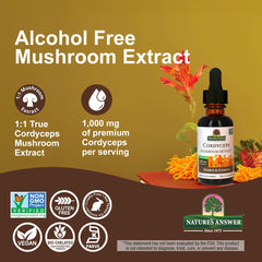 Energy and immune support benefits of Cordyceps