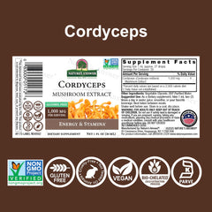 Cordyceps fruiting body representing 1,000 mg per serving