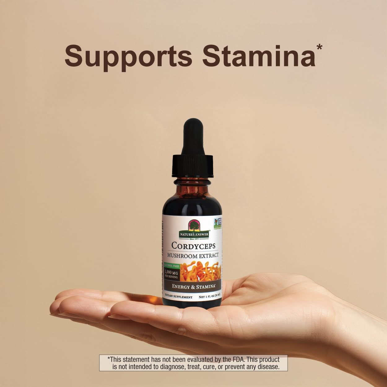 Cordyceps extract ingredients and nutrients graphic