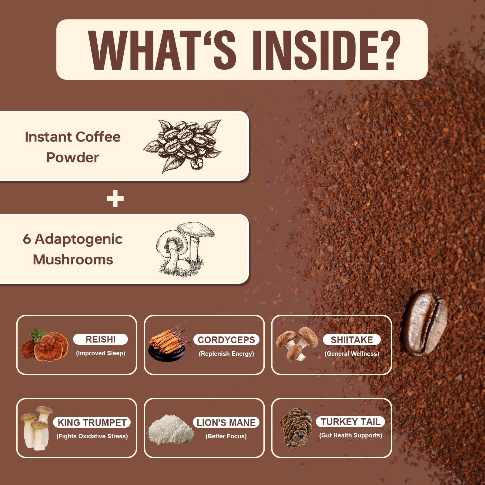 Close-up of Cordyceps, Lion’s Mane, Shiitake, Turkey Tail, Reishi, and King Trumpet.