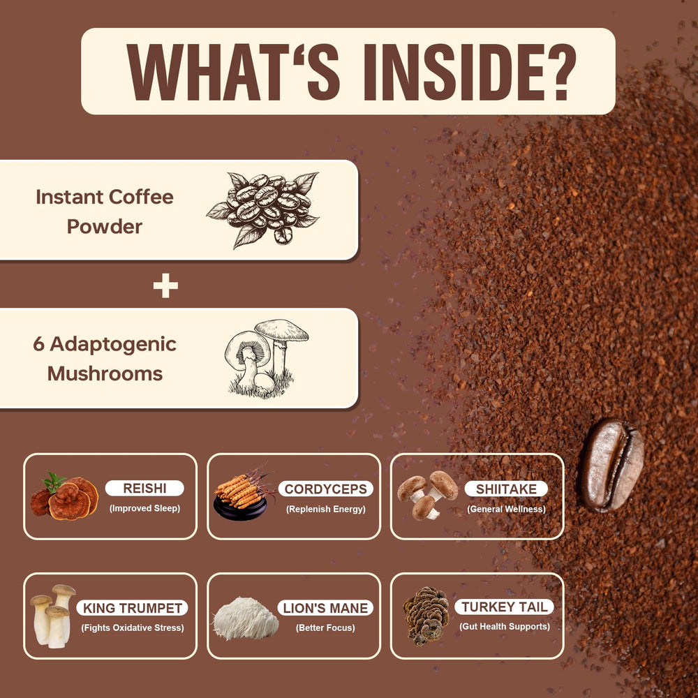 Close-up of Cordyceps, Lion’s Mane, Shiitake, Turkey Tail, Reishi, and King Trumpet.