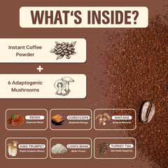 Close-up of Cordyceps, Lion’s Mane, Shiitake, Turkey Tail, Reishi, and King Trumpet.