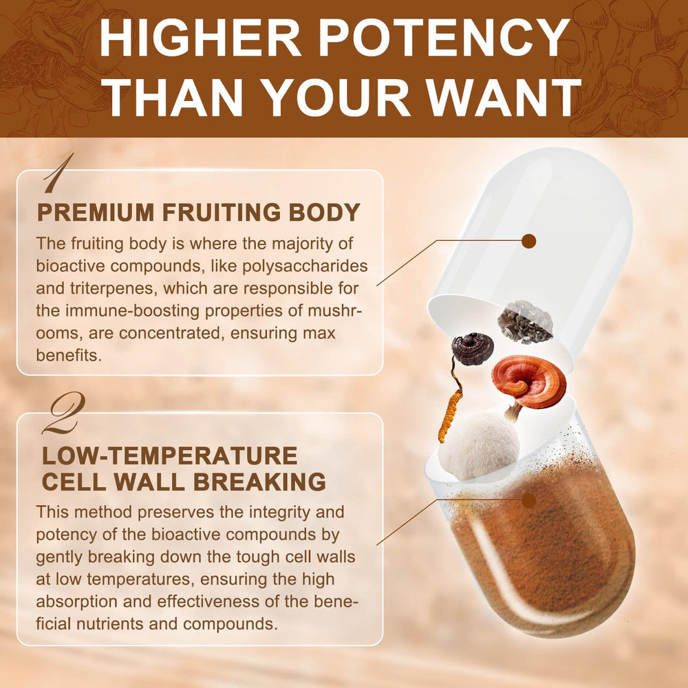 Cordyceps mushroom capsules