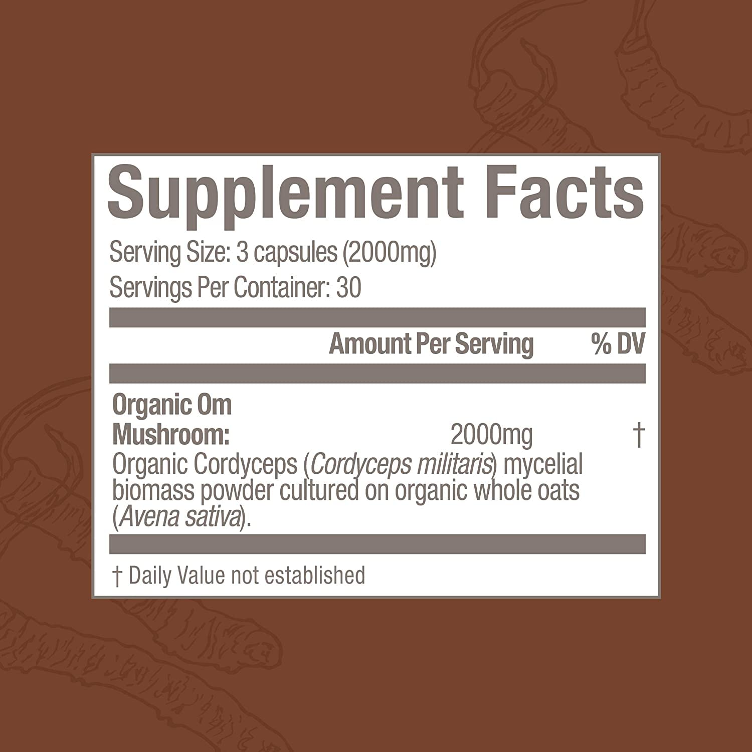 Close-up of cordyceps mushroom powder and capsules