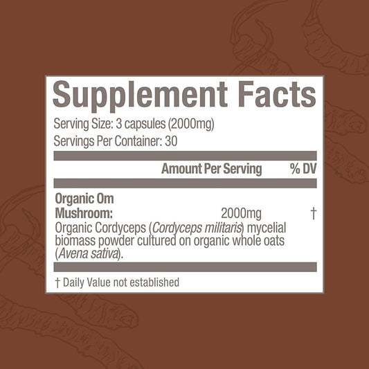 Close-up of cordyceps mushroom powder and capsules