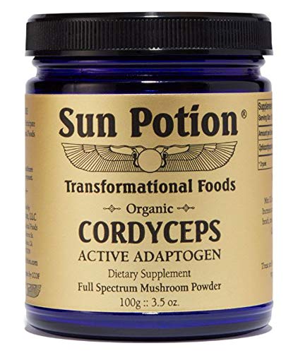 Cordyceps Sun Potion 100g bottle with Transformational Foods powder blend